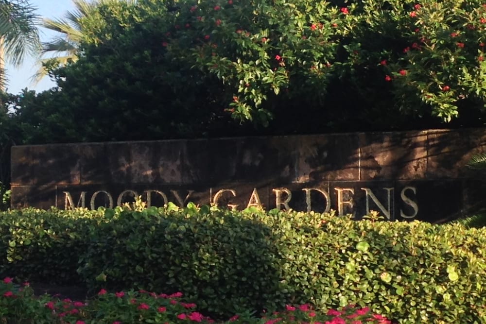 Moody Gardens Hotel Spa and Convention Center - photo 71