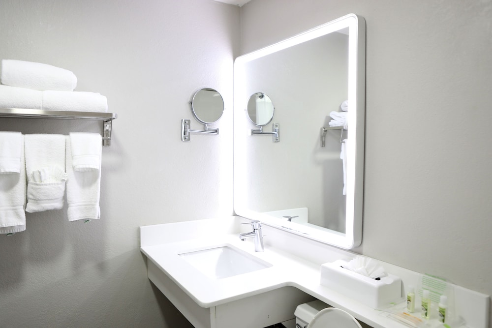 Holiday Inn Chicago Oakbrook by IHG - photo 23