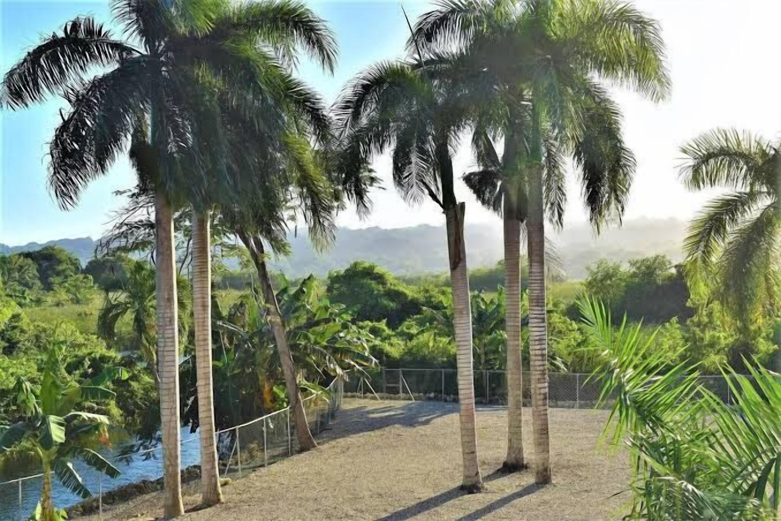 Breathtaking Cabarete Resort - carbon neutral hotel in Cabarete
