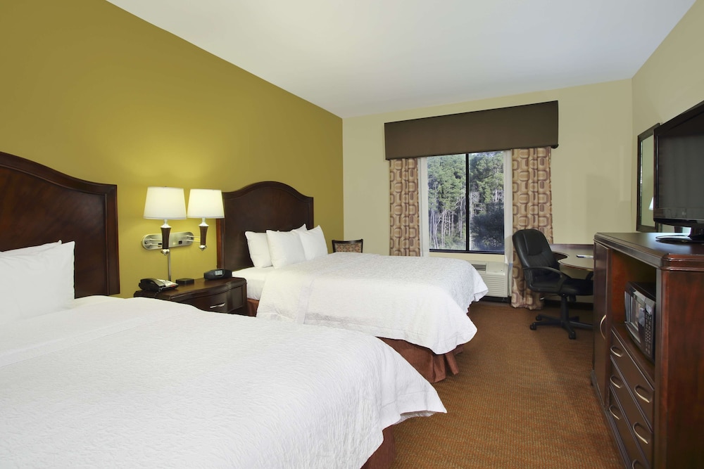 Hampton Inn & Suites Conroe I 45 North - photo 17