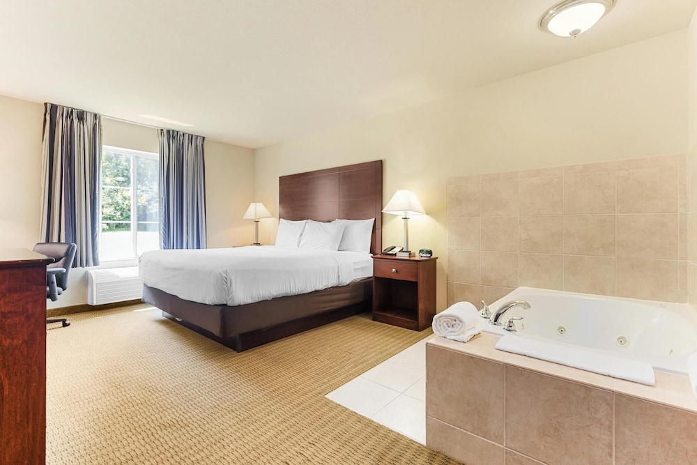 Cobblestone Hotel & Suites Knoxville - photo 19