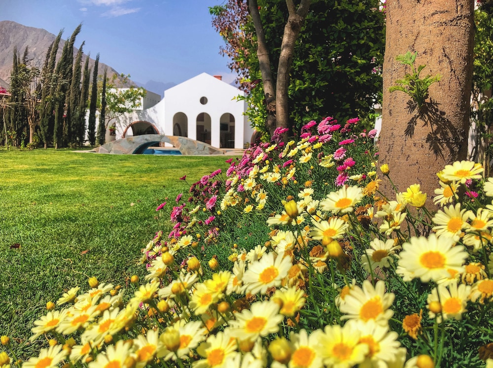 Casa Hotel Mamaluna in Unknown City, Peru