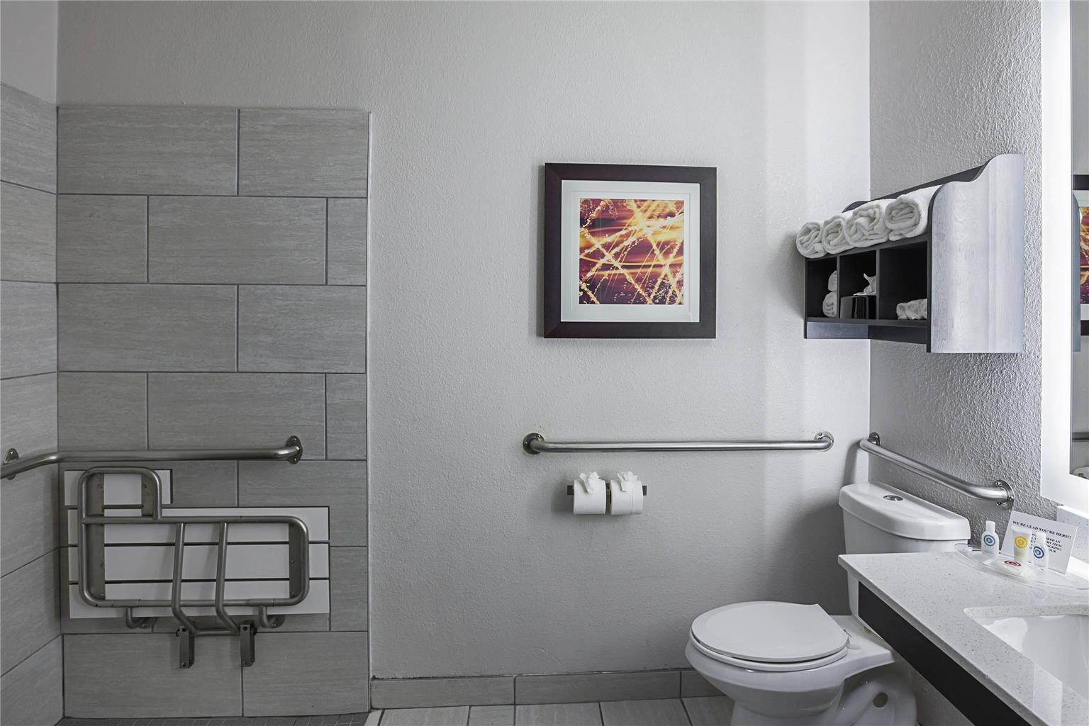 Comfort Suites Lewisville Dallas - photo 21