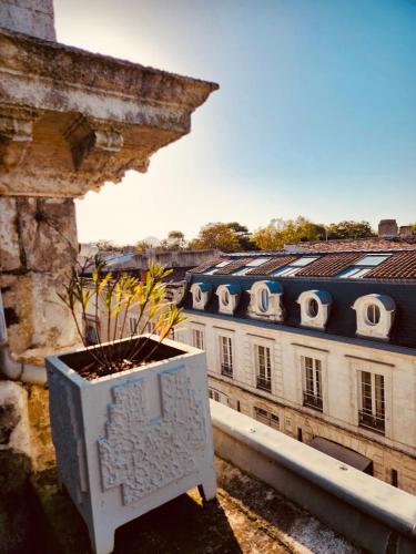 Chez Alma in La Rochelle, France