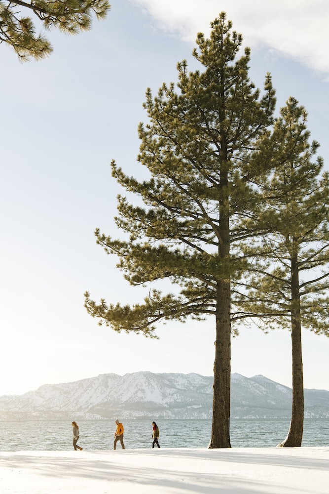 Edgewood Tahoe Resort - photo 171