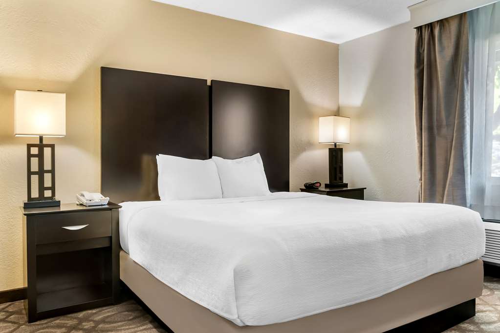 Best Western Okemos East Lansing Hotel & Suites - photo 33