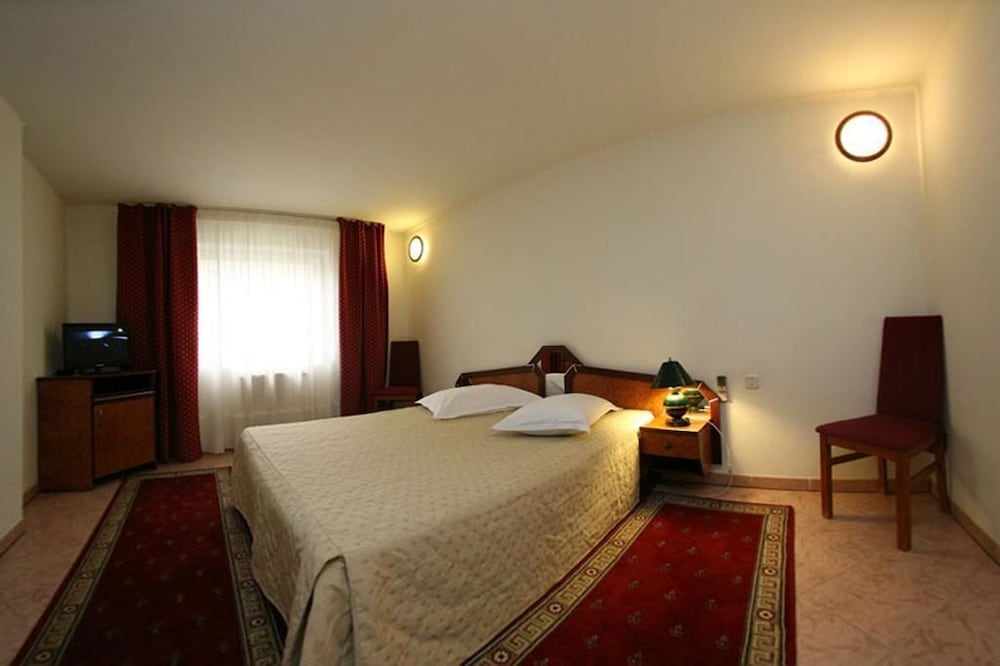 Euro Hotel - carbon neutral hotel in Timisoara