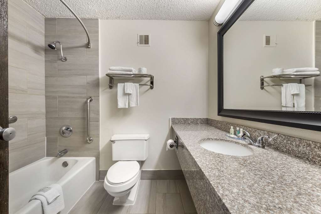 Quality Inn Alamosa - photo 14