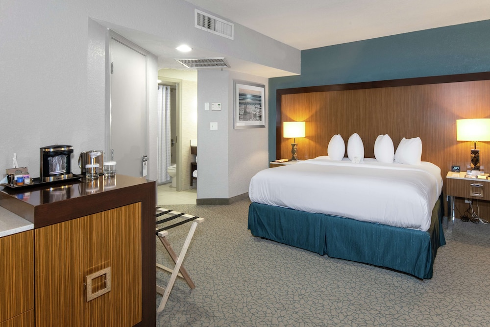 DoubleTree by Hilton Hotel Jacksonville Airport - photo 31