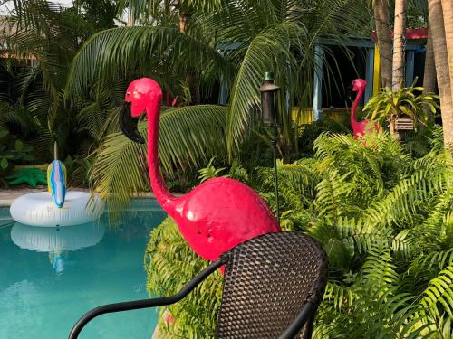 Calypso Inn Wilton Gay Male Resort - photo 3