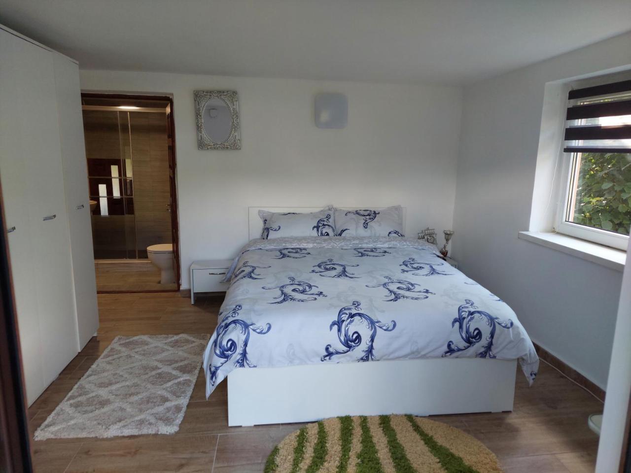 Cabană cu teren de tenis parter — hotel in Banita