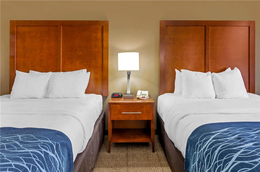 Comfort Inn & Suites Lynchburg Airport University Area - photo 15