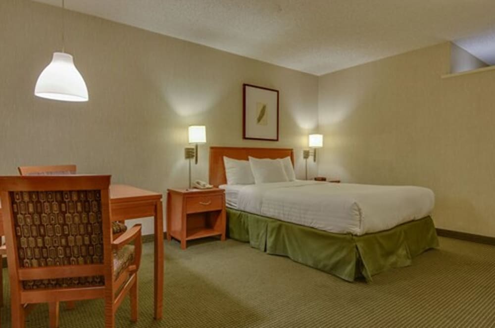 Vagabond Inn Los Angeles at USC - photo 7