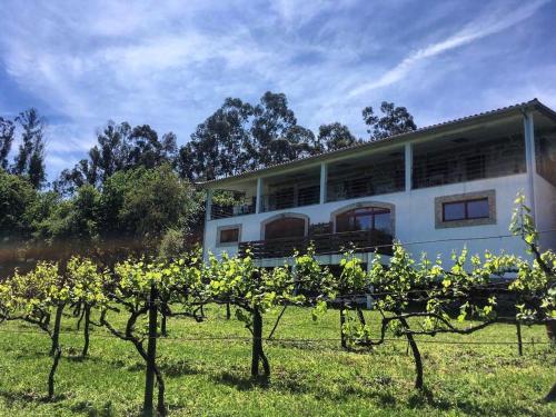 Quinta Da Quinta Private Room in Vieira Do Minho, Portugal