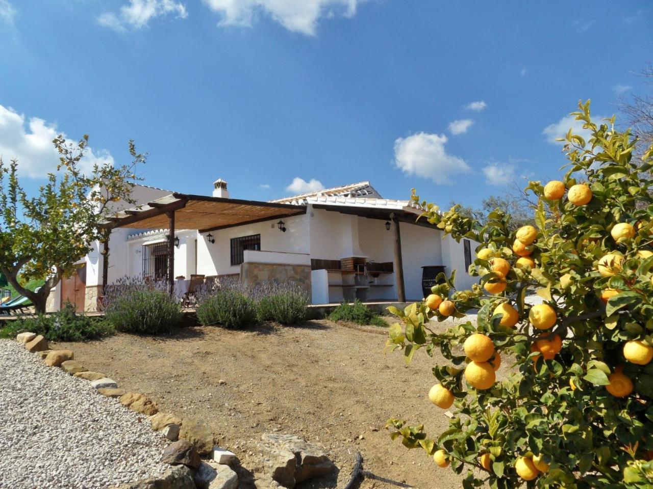 Family Stay with Private Pool — 4-Star Luxury Hotel in Antequera, Spain