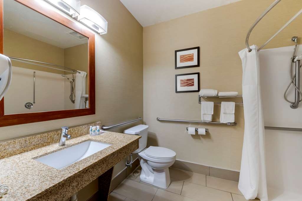 Comfort Inn Pickerington Columbus East - photo 32