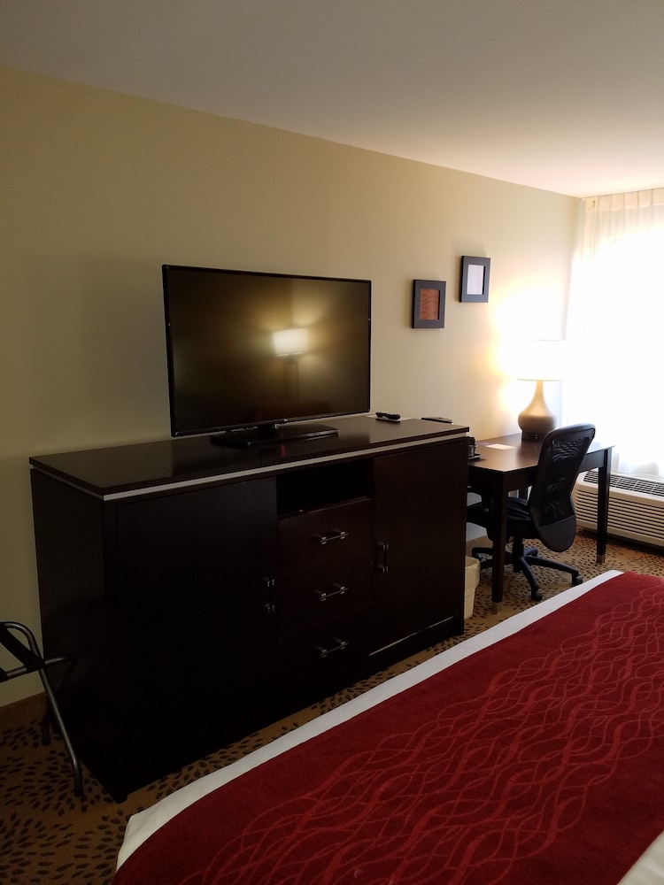 Comfort Inn North of Asheville - photo 10