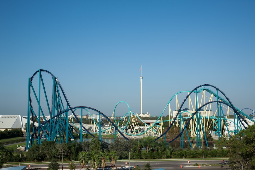 TownePlace Suites by Marriott Orlando at SeaWorld - photo 49
