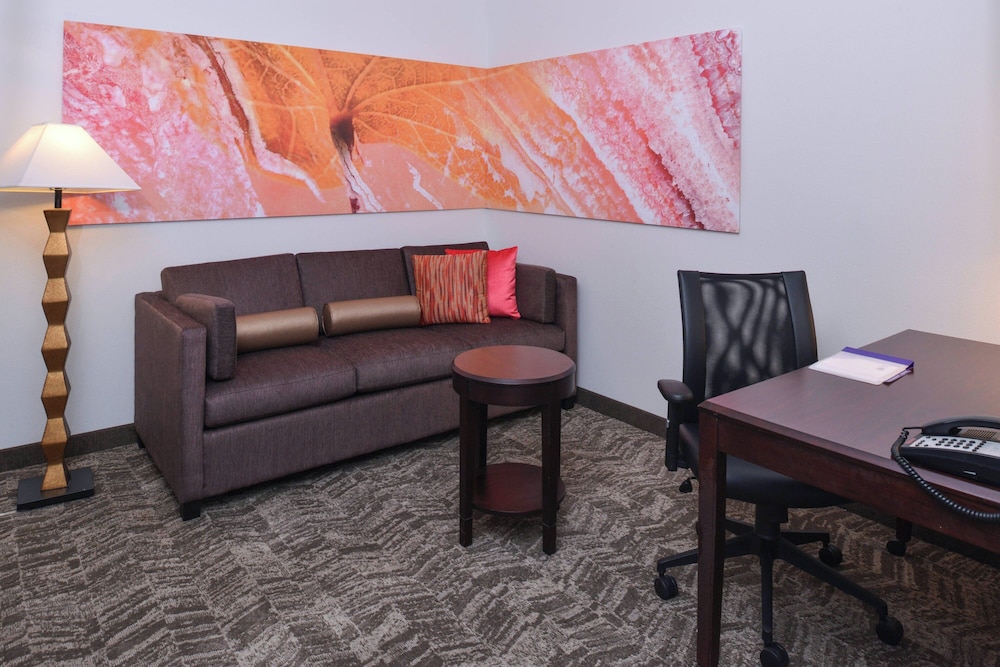 Springhill Suites by Marriott Oklahoma City Airport - photo 6