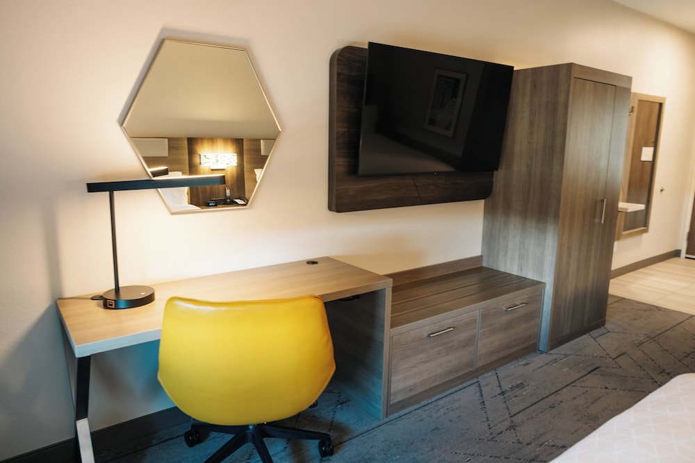 Holiday Inn Express & Suites McCalla Birmingham West by IHG - photo 13