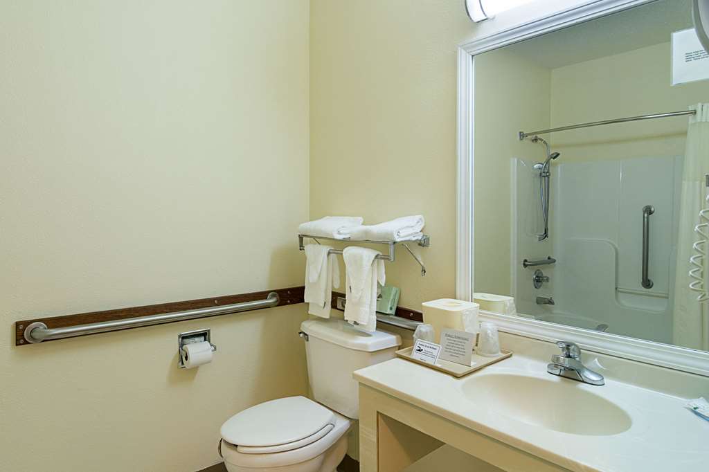 Quality Inn & Suites Harvey Chicago Southland - photo 5