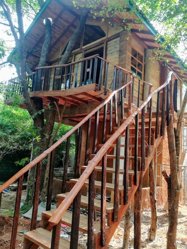 Green House Resort - last minute hotel in Sigiriya