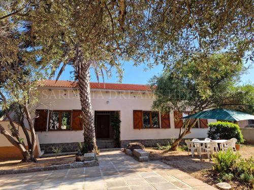 Residenza Palm Tree — 4-Star Luxury Hotel in Santa Teresa Gallura, Italy