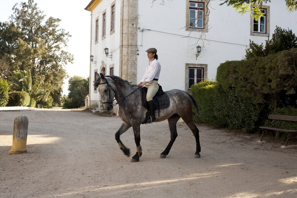 Quinta dos Álamos Agroturismo — 4-Star Luxury Hotel in Golega, Portugal