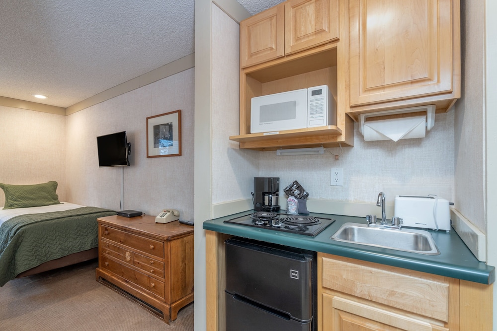 Mountainside Inn 320 by Alpine Lodging Telluride - photo 3