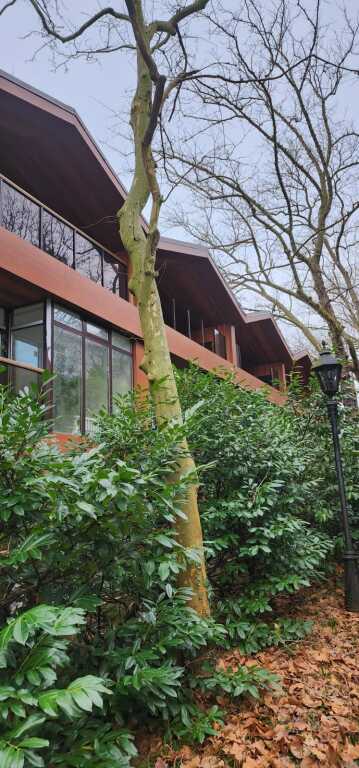 Zhemchuzhina Kavkaza Hotel in Lermontovo, Russia