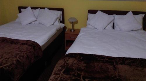 Pod Lwami — hotel in Blonie