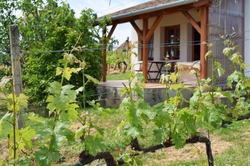 Remete lak — hotel in Villany