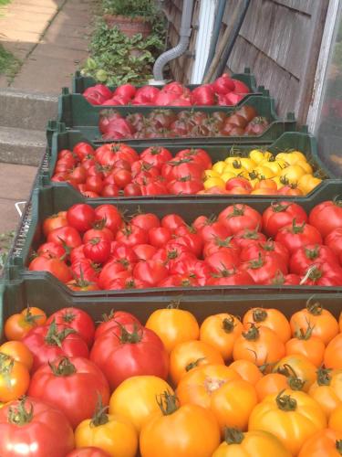 Nettles Farm - photo 3