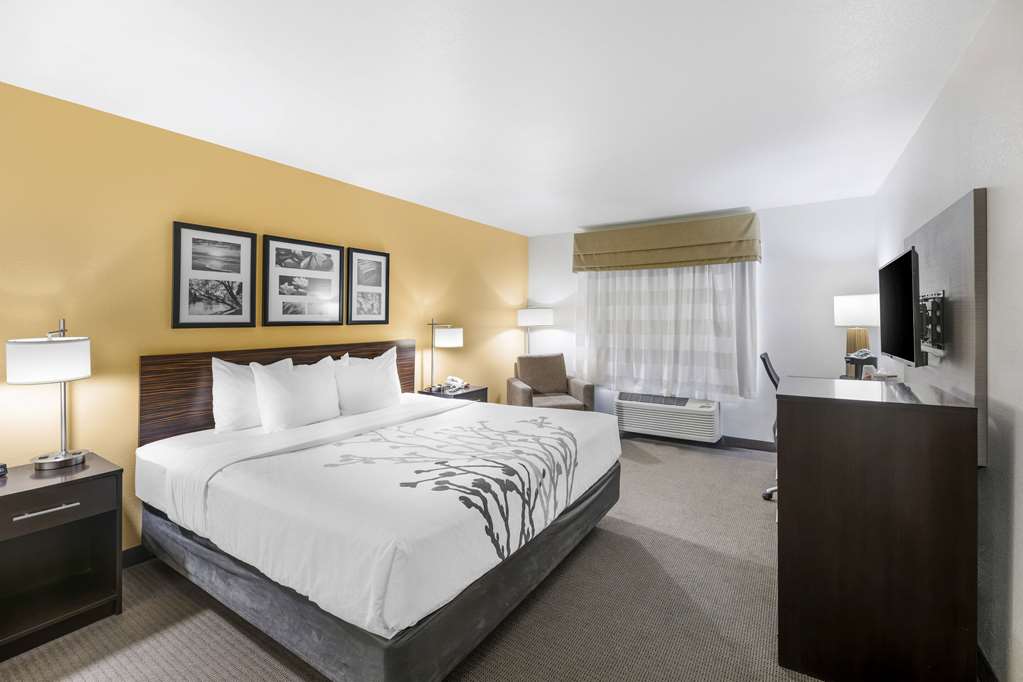 Sleep Inn & Suites Carlsbad Caverns Area - photo 9