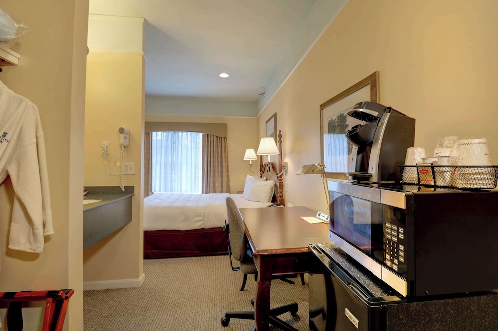 Senator Inn & Spa - photo 30