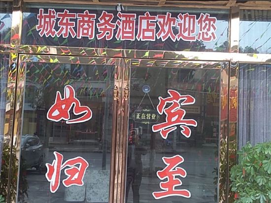 Chengdong Business Hotel — hotel in Jinsha
