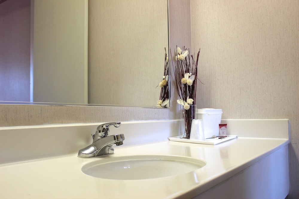 Regency Inn Richmond - photo 32