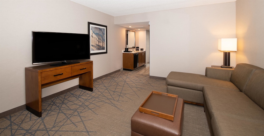 Embassy Suites by Hilton Colorado Springs - photo 43