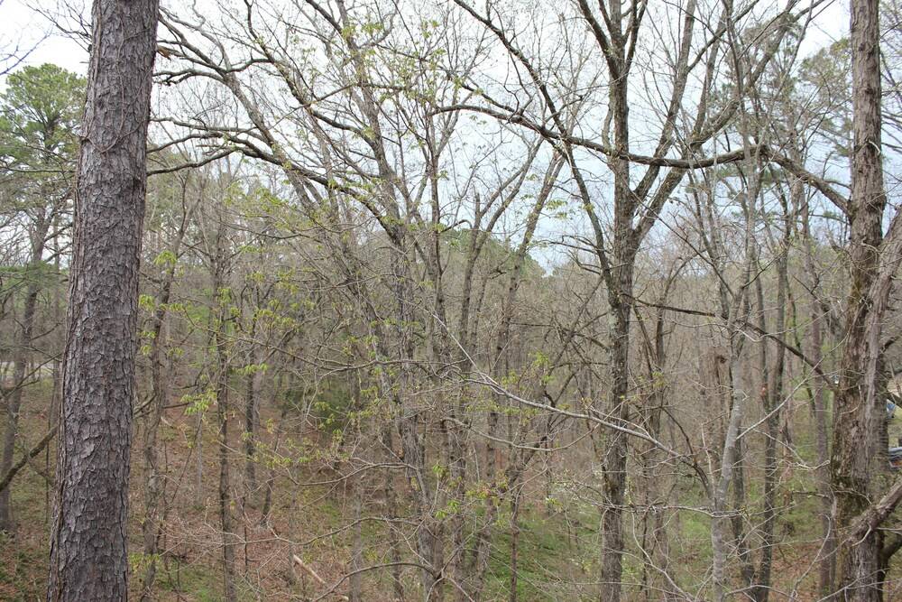 Brydan Suites - photo 214