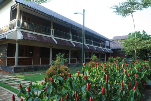 Green Planet Hotel in Mattanur, India