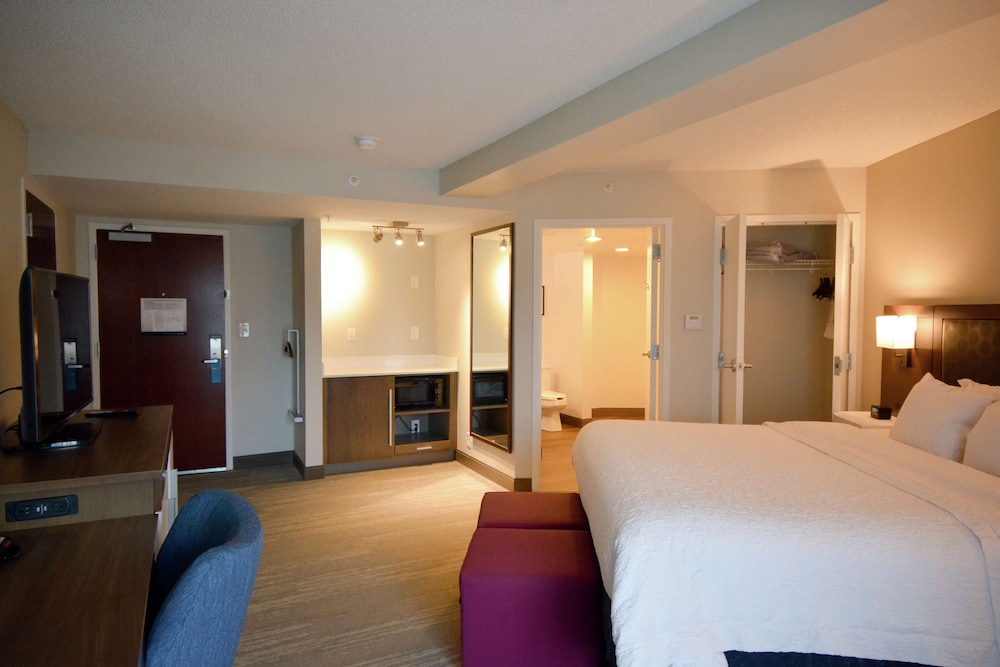 Hampton Inn Salem East Electric Road - photo 21
