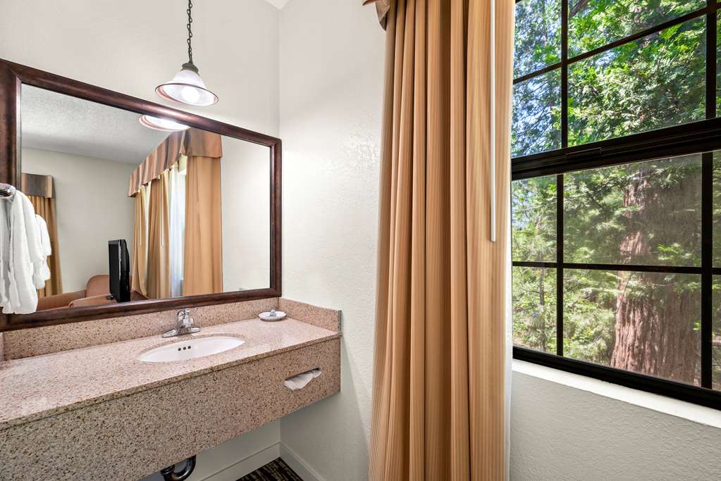 Best Western Stagecoach Inn - photo 29
