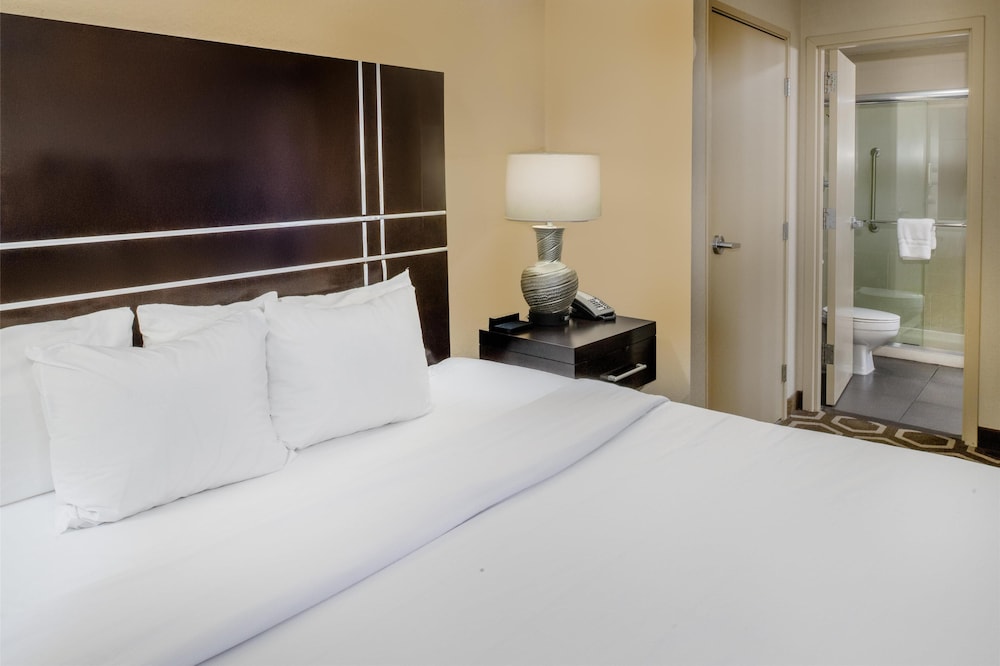 Hampton Inn by Hilton St. Louis Airport - photo 38