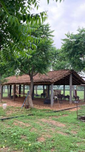 Bhumii Trials — Unknown City — photo 3