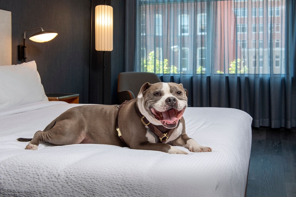 Courtyard by Marriott Washington DC Dupont Circle - photo 17