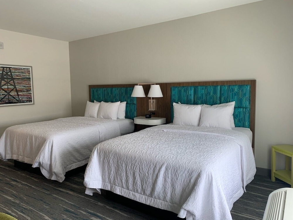 Hampton Inn Monahans - photo 12