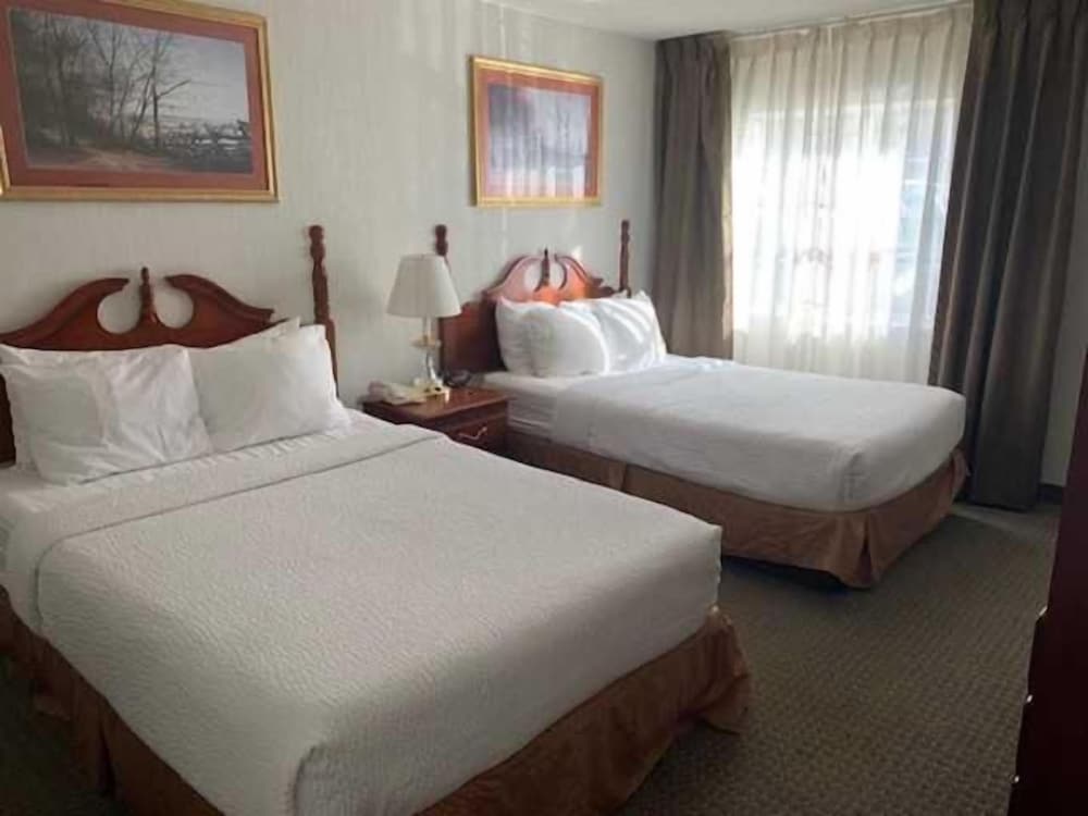 Host Inn All Suites - photo 8