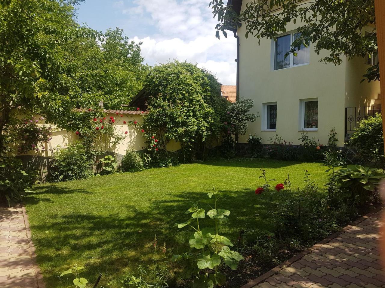 Apartament Teilor — Rasnov — photo 3