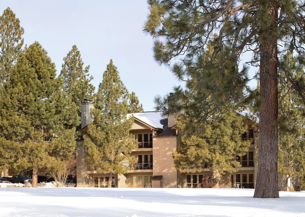 Seventh Mountain Resort - photo 101