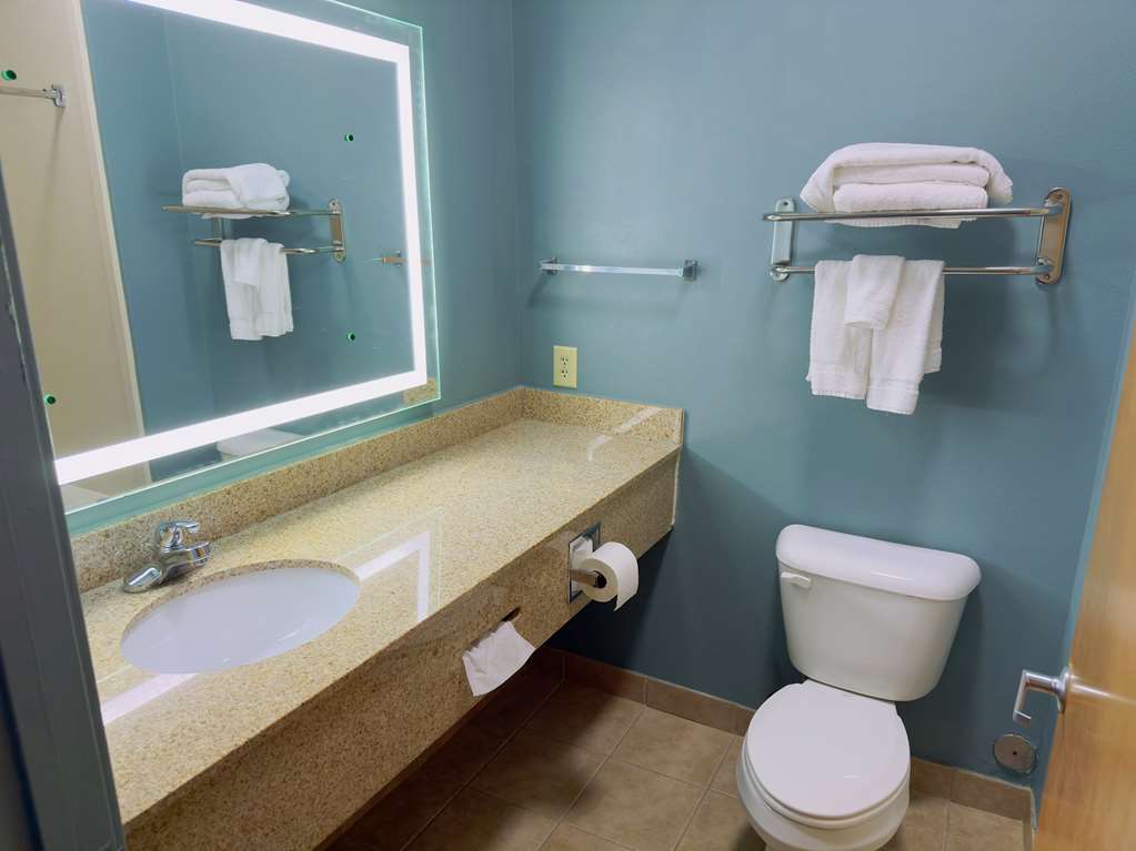 Best Western Plus Glen Allen Inn - photo 14